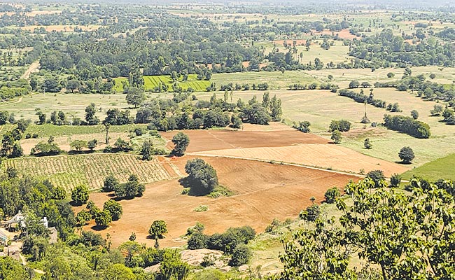 land.jpg