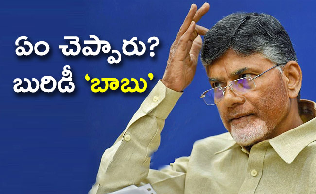 chandrababu-naidu.jpg1_.jpg