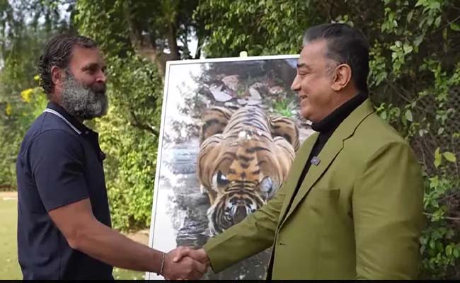 kamal.jpg