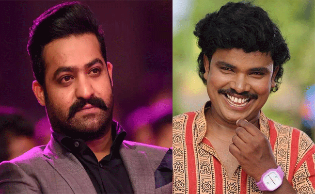 sampoo-ntr.gif