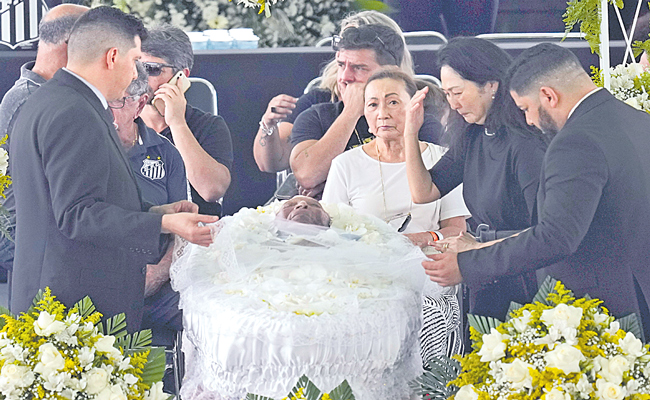 PELE-1.jpg