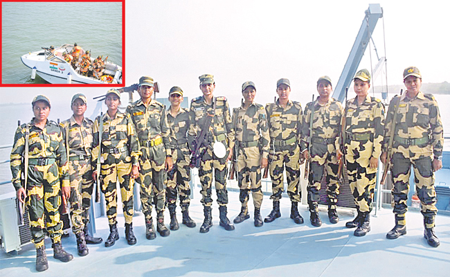 bsf-2a.jpg