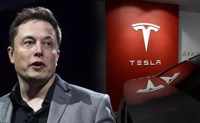 elnonmusk.jpg