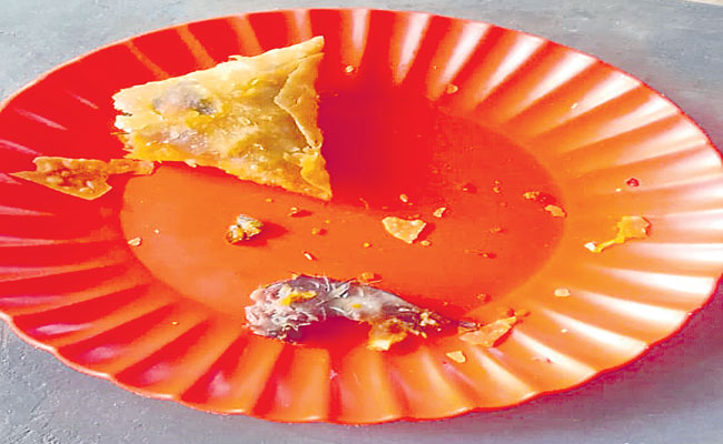 samosa.jpg