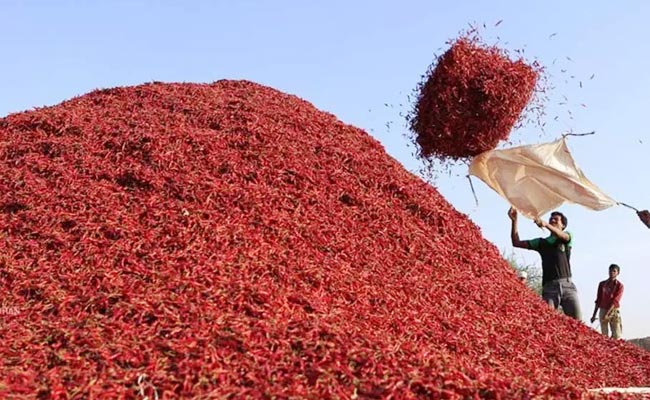 Enumamula_Mirchi_Sale.jpg