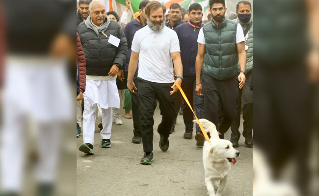 rahul-gandhi-bharat-jodo.jpg