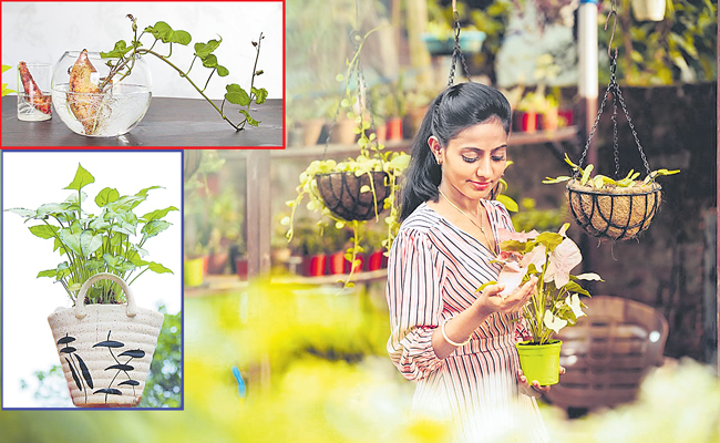 reshma-1.jpg