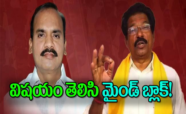 Telugu-desam.jpg