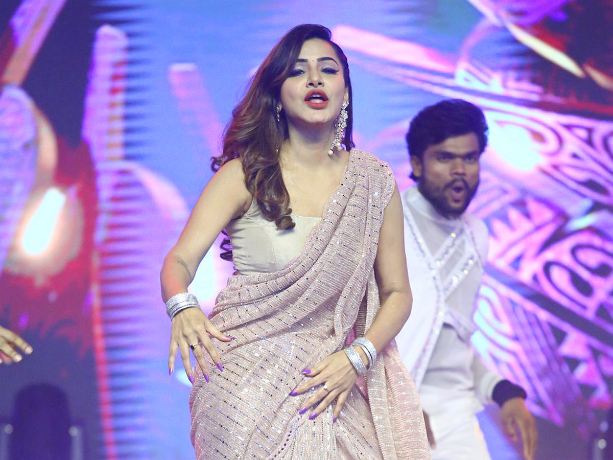 waltair_20veerayya_20pre_20release_20event_20Photos_37.jpg 37