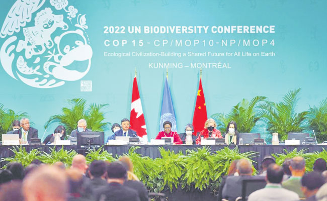 Biodiversity-Conference.jpg