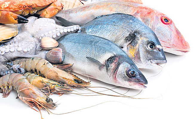 FISH.jpg