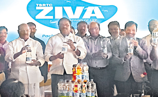 ZIVA2.jpg