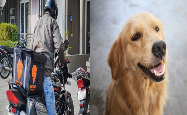 dogggg.jpg