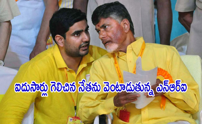 TDP.jpg