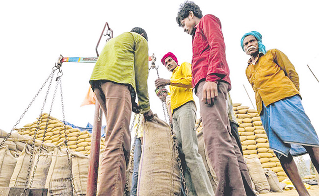 RICE-PROCURE.jpg