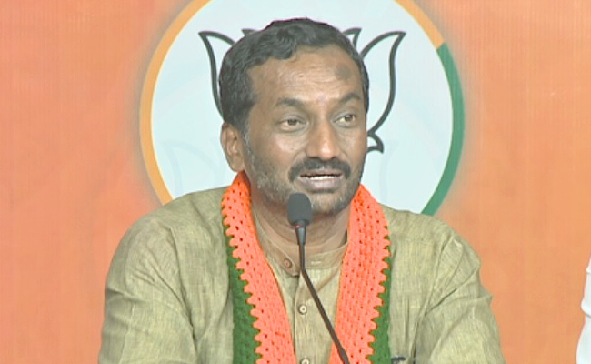Raghunandhan.jpg