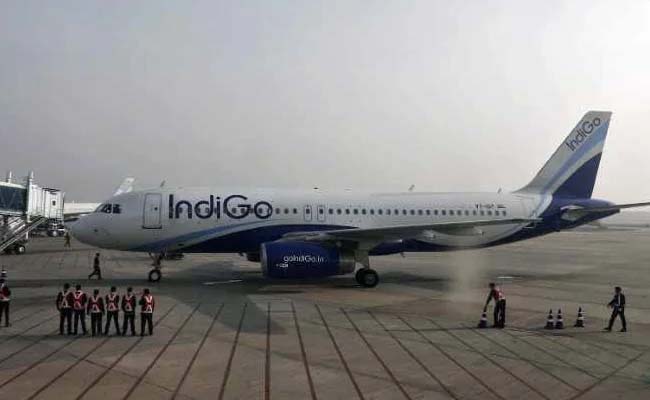 indigo.jpg