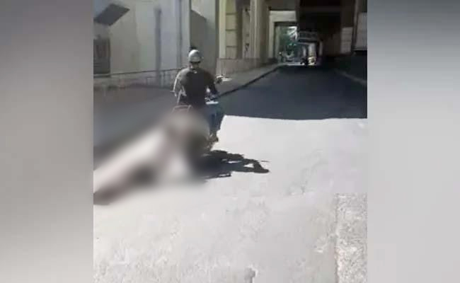 scooter.jpg