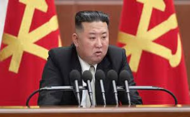 kim.jpg