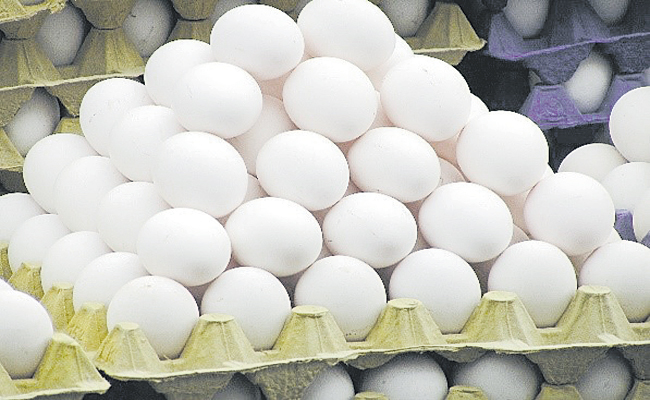 EGGS-CARTON.jpg