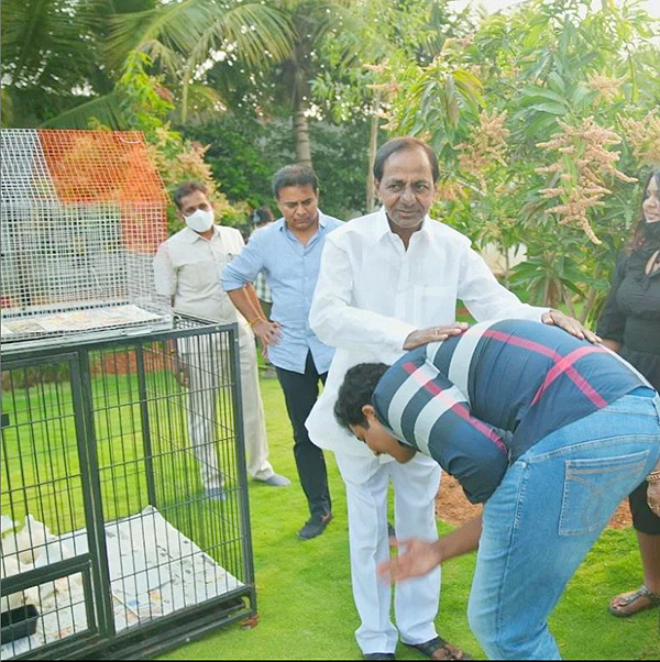 KTR_20Son_20Himanshu_20Rare_20Pictures_21.jpg 21