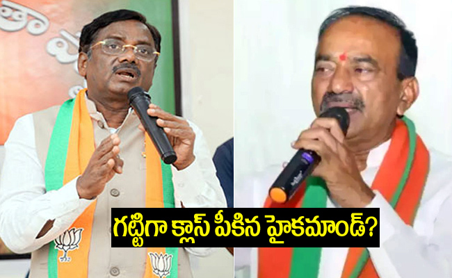 bjp33.jpg