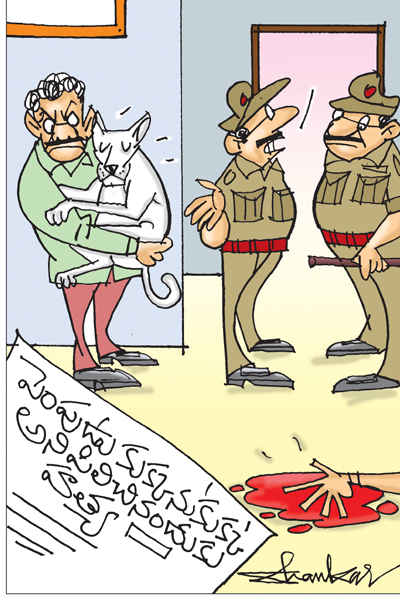 Dog_Murder_TN_Cartoon_Saksh.jpg