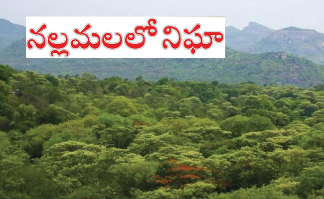 Nallamala-Forest.jpg