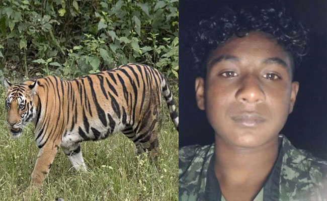 puli.jpg