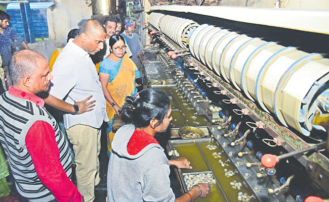 pattu.jpg