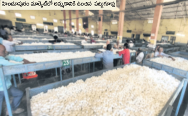 Cotton_Hindupuram.jpg