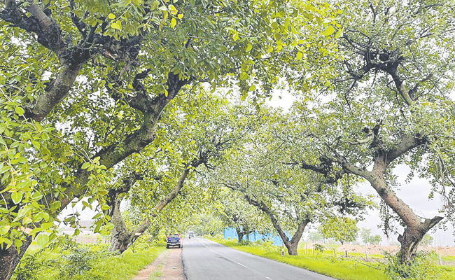 chevella-road.jpg