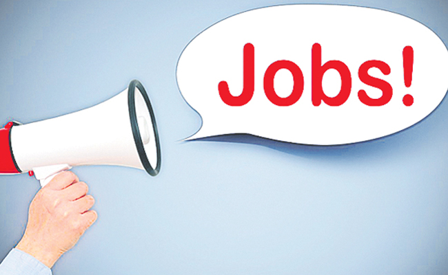 job-mela.jpg