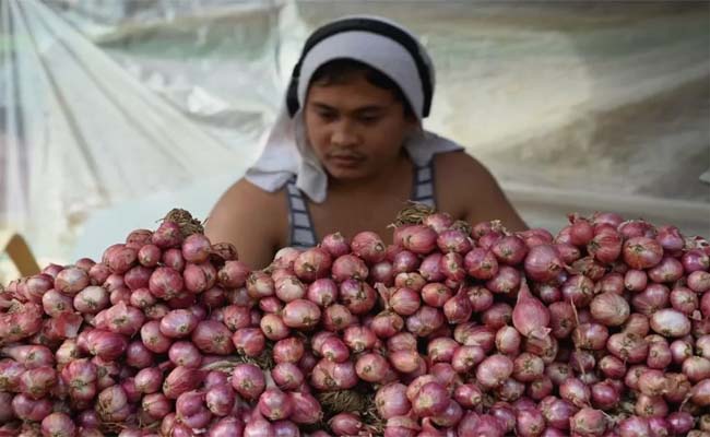 onion.jpg