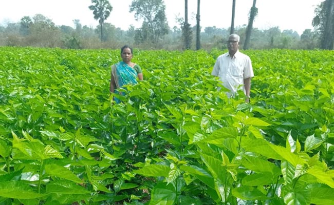 Farmers-Are-Making-Profits-.jpg