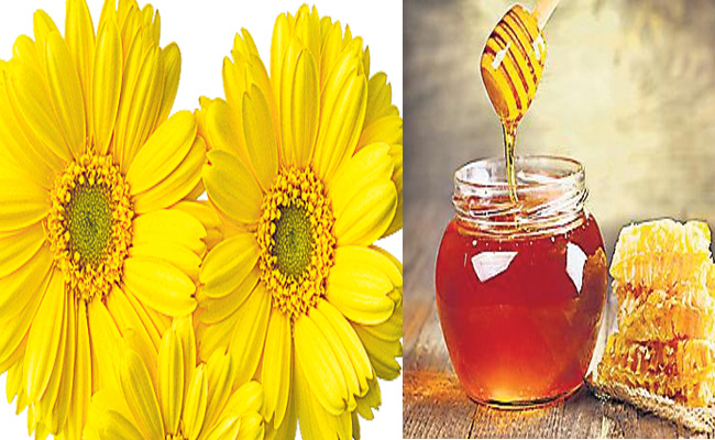 honey.jpg