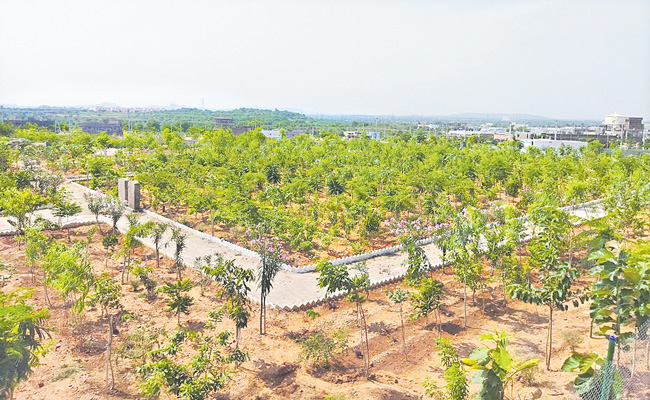 KACHAVANISINGARAM02.jpg