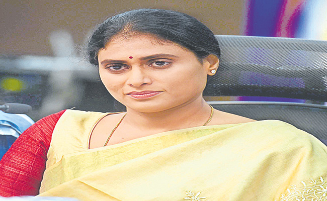 YS-SHARMILA-5.jpg