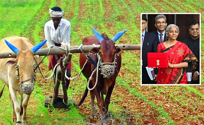 Budget-Farmers.jpg
