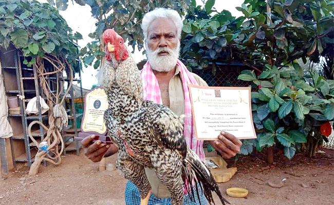 Kodipunju.jpg
