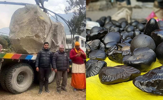 Ayodhya_Saligrama_Stones.jpg