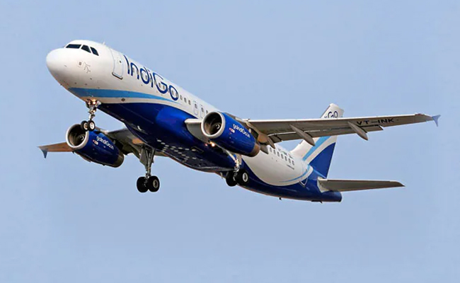 indigo-flight.jpg