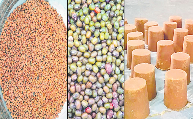 prasadam.jpg