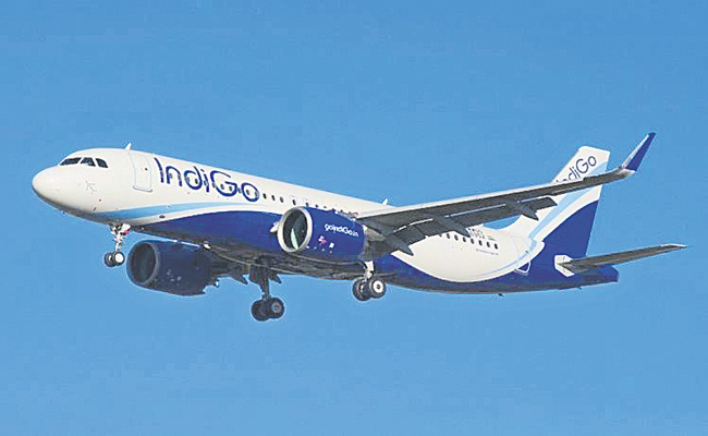 INDIGO-AIRLINE.jpg
