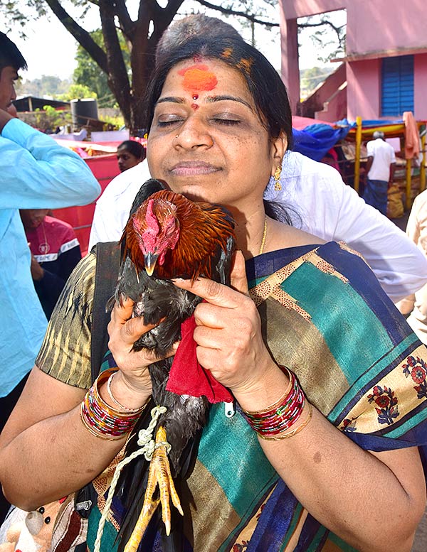 Medaram_20Sammakka_20Sarakka_20Chinna_20Jatara_202023_20Photos-60.jpg 42