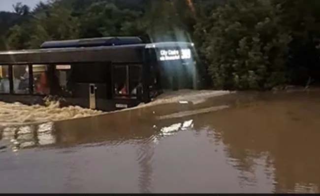 bus.jpg