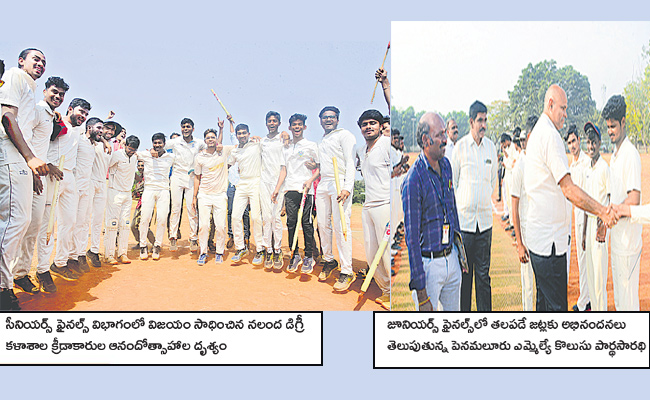 cricket4.jpg