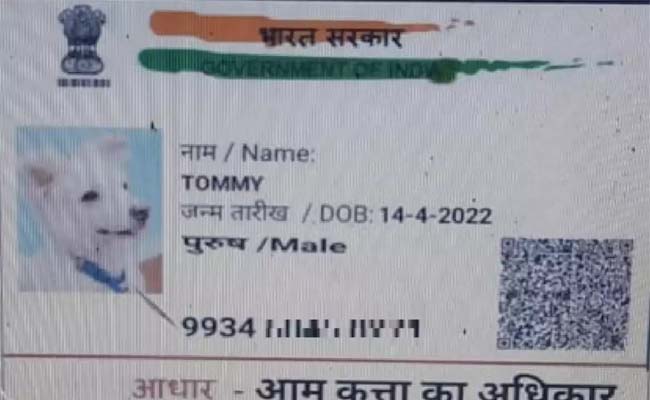 AAdhar.jpg