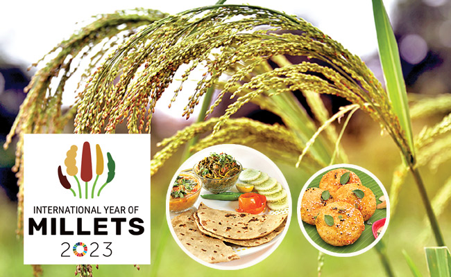 seeds1.jpg