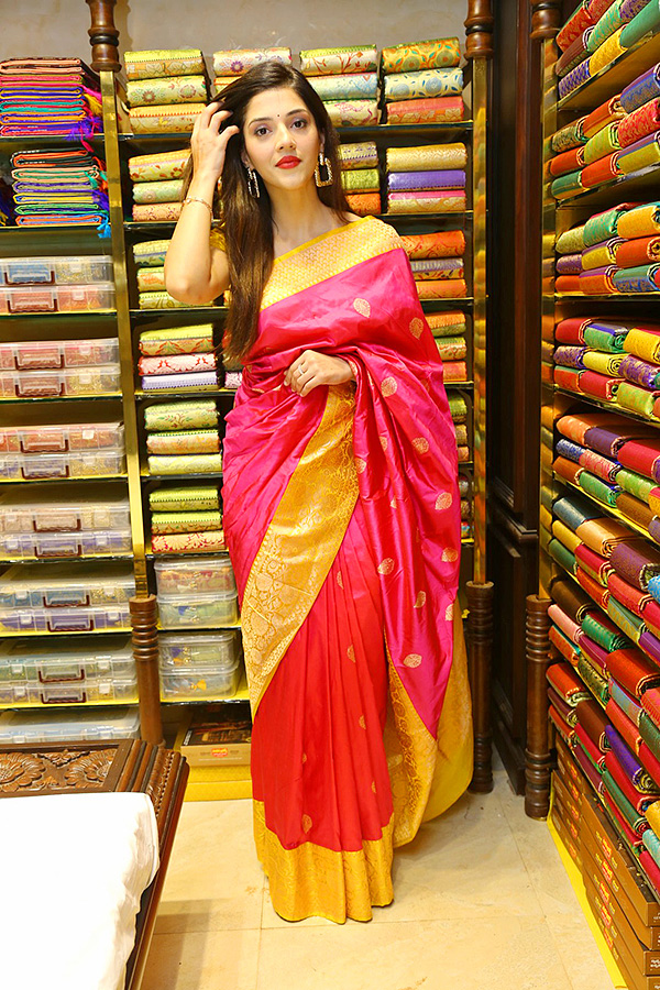 Honey-Rose-Mehreen-At-Zahirabad-Shopping-Mall-Opening-Photos-22.jpg 22